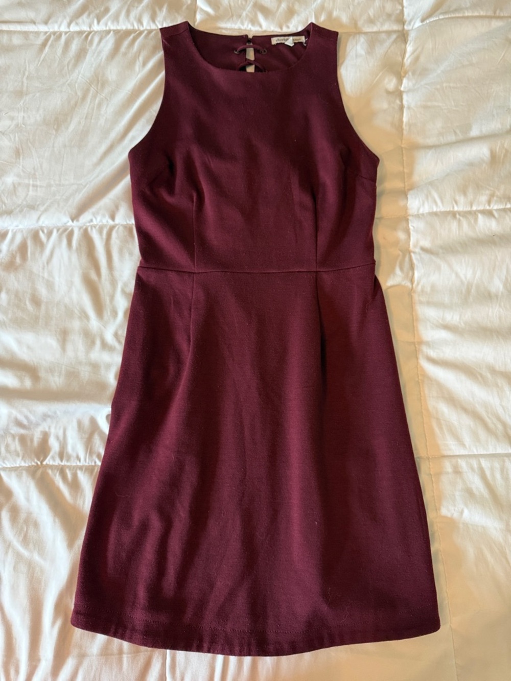 Charlotte Russe Sleeveless Burgundy Mini Dress